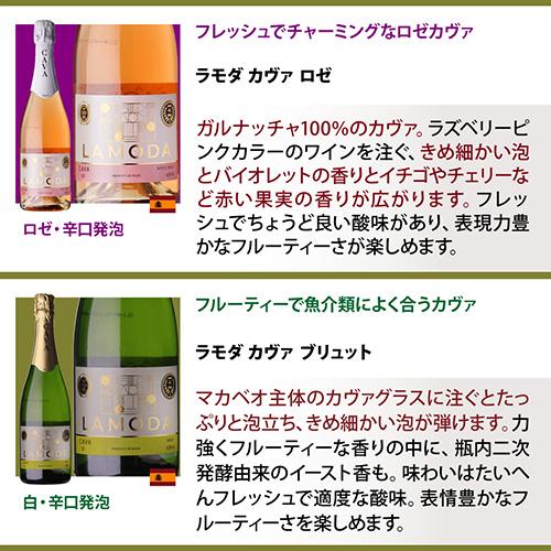 1,380円/本 送料無料】 全てシャンパーニュと同製法！プレミアム特選