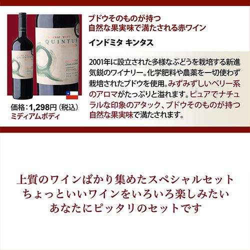 ワインセット 赤 12本 飲み比べ 詰め合わせ 赤ワインだけ プレミアム
