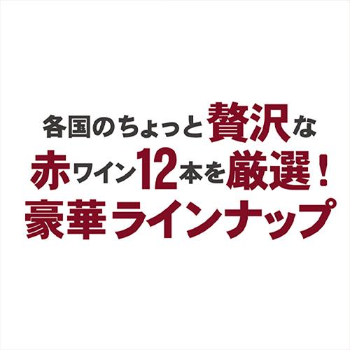 ワインセット 赤 12本 飲み比べ 詰め合わせ 赤ワインだけ プレミアム