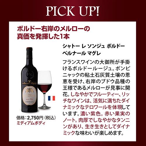 ワインセット 赤 12本 飲み比べ 詰め合わせ 赤ワインだけ プレミアム