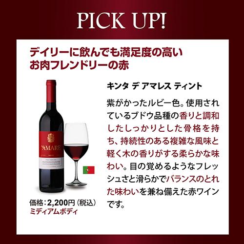 ワインセット 赤 12本 飲み比べ 詰め合わせ 赤ワインだけ プレミアム