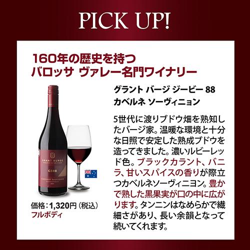 ワインセット 赤 12本 飲み比べ 詰め合わせ 赤ワインだけ プレミアム