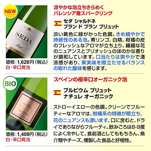 8,026円OFF 41%OFF スパークリングワイン セット 辛口 12本 +2本 750ml