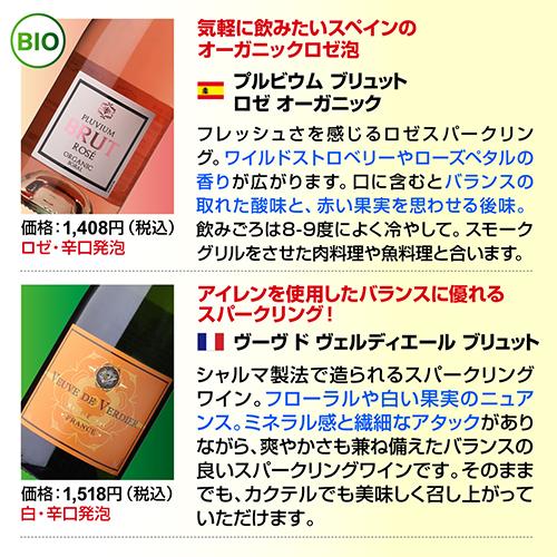 8,026円OFF 41%OFF スパークリングワイン セット 辛口 12本 +2本 750ml