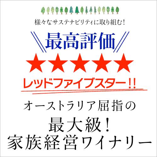 箱ワイン赤白セット デボルトリ セット2L 6箱入 カベルネソーヴィニヨン シャルドネ 各3箱 ボックス BIB 送料無料 長S｜likaman｜02