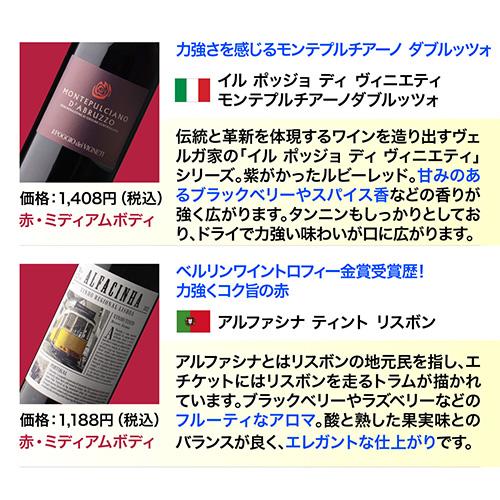 ワインセット ワイン 赤ワイン セット 12本＋2本(14本セット) 送料無料 格安 詰め合わせ 飲み比べ 244弾 浜運A PU |  | 10