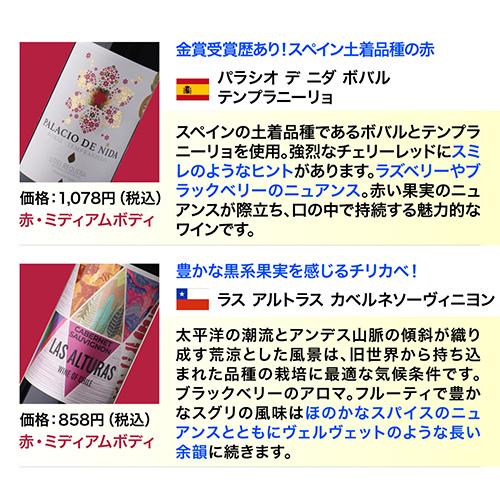 ワインセット ワイン 赤ワイン セット 12本＋2本(14本セット) 送料無料 格安 詰め合わせ 飲み比べ 244弾 浜運A PU |  | 11