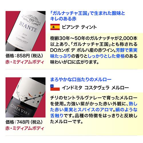 ワインセット ワイン 赤ワイン セット 12本＋2本(14本セット) 送料無料