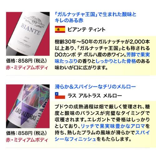 ワインセット ワイン 赤ワイン セット 12本＋2本(14本セット) 送料無料