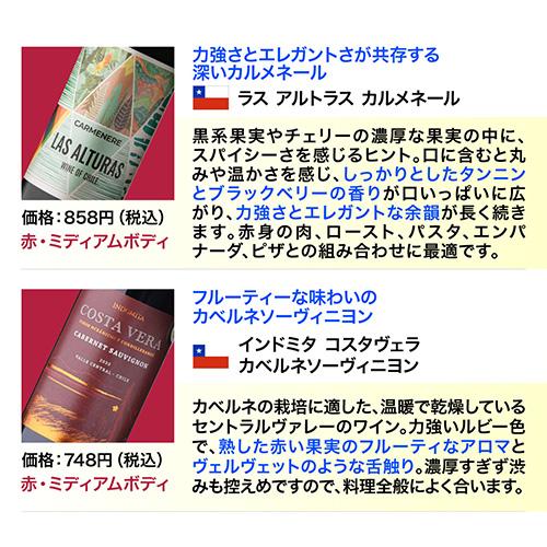 ワインセット ワイン 赤ワイン セット 12本＋2本(14本セット) 送料無料 格安 詰め合わせ 飲み比べ 244弾 浜運A PU |  | 12
