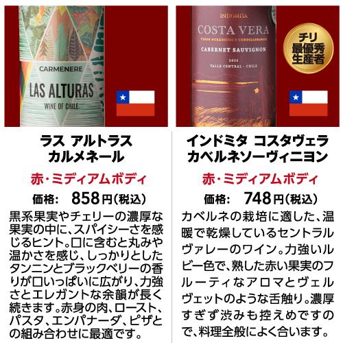 ワインセット ワイン 赤ワイン セット 12本＋2本(14本セット) 送料無料