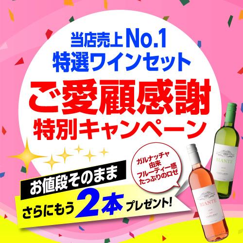 ワインセット ワイン 赤ワイン セット 12本+2本(14本セット ワインセット ワイン 赤ワイン セット 12本+2本(14本セット