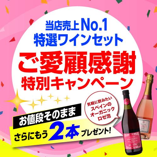ワインセット ワイン 赤ワイン セット 12本＋2本(14本セット) 送料無料