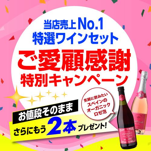 ワインセット ワイン 赤ワイン セット 12本＋2本(14本セット) 送料無料