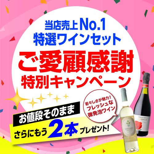 総額¥14,860 赤ワイン12本セット！ 格安　まとめ ワインセット ワイン 赤ワイン セット 12本＋2本(14本セット) 送料無料