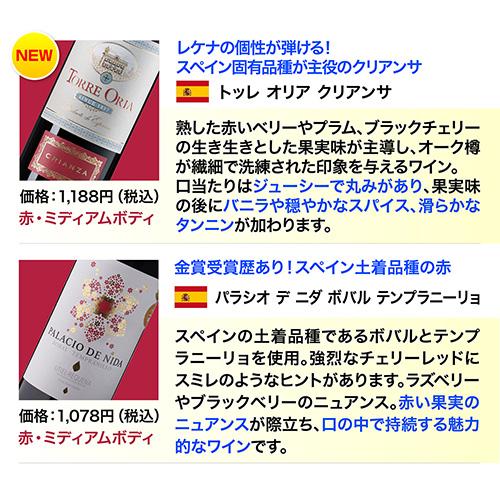 ワインセット ワイン 赤ワイン セット 12本＋2本(14本セット) 送料無料