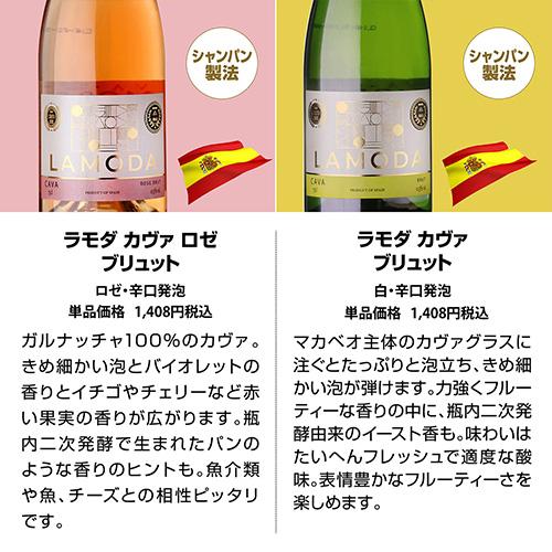 ワインセット 赤白ロゼ泡 スパークリング 格安 送料無料 エブリデー泡10本セット 54弾 金賞 辛口 フランス イタリア 浜運 |  | 06