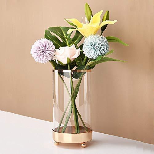 Ginger掲載商品 ガラス花瓶 ガラスフラワーベース 筒型 透明 ガラス製 花瓶 水耕栽培 造花 生花 花器 おしゃれ シンプル 多機能 Discoversvg Com