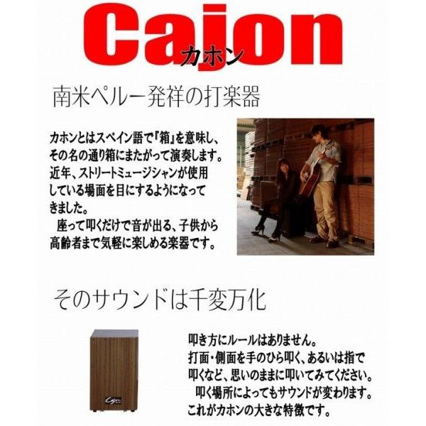 カホン・響線8本タイプ（スナッピー付き） : 家具のライク - 通販