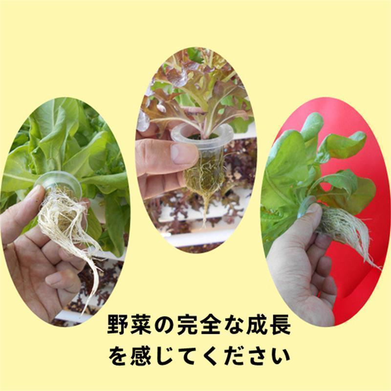 水耕栽培キット 3層12管 無土壌栽培設備配管水耕野菜栽培 室内と庭園栽培器 育成システム 家庭用 ベランダ 庭 スポンジ ポンプ付き プランター 野菜を育てる 