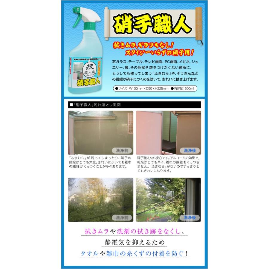 硝子職人500ml 洗剤 窓 ガラス 磨き 職人シリーズ リラの女王様 通販 Yahoo ショッピング