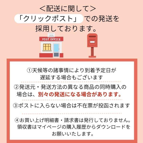 バッグインバッグ フェルト インナーバッグ 自立 大きめ 大き目 小さめ 軽量  トートバッグ  オーガナイザー 軽い ポーチ バッグ 小物入れ 大きめ | ブランド登録なし | 32