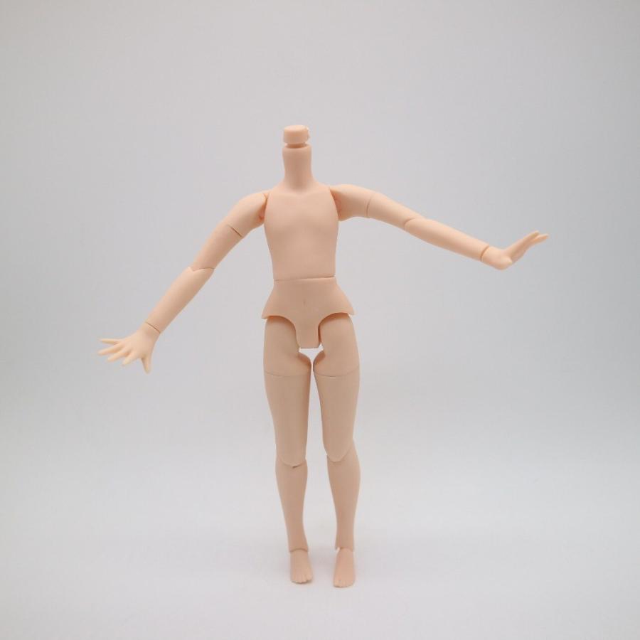 アイシードール ブライス 男の子 boy 可動ボディ 1/6ドール アイシードール ブライス 男の子 boy 可動ボディ 1/6ドール