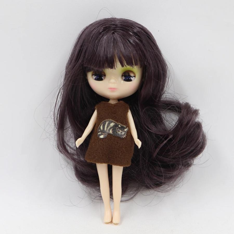 アイシードール 可動ボディ プチドール カスタムドール ICY 着せ替え
