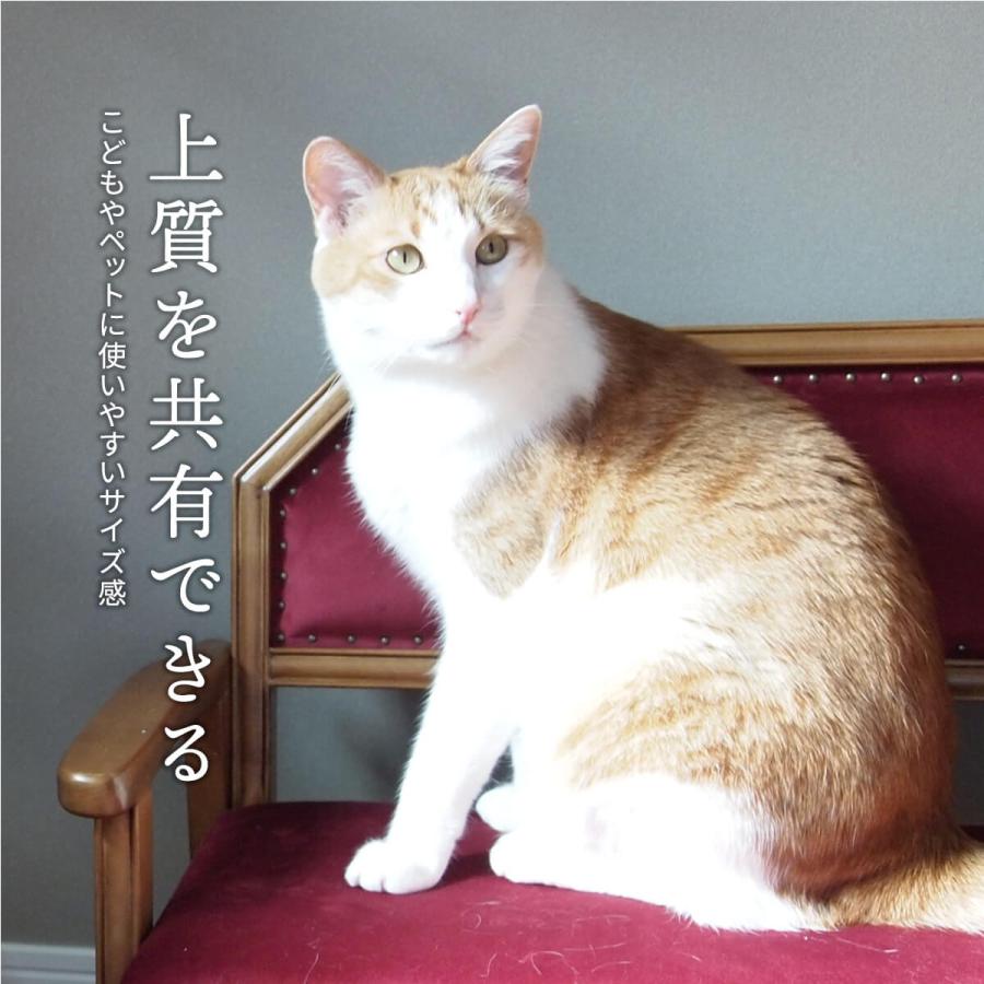 ペット キッズ ソファ おしゃれ 天然木 猫 犬 オールシーズン ベロア レッド ブルー ペット家具 ペットソファ キッズチェア BOJAWS BOPT0127の画像