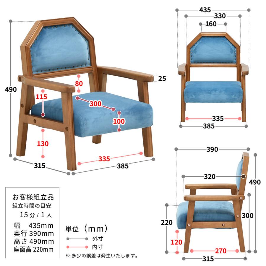 ペット キッズ ソファ おしゃれ 天然木 猫 犬 オールシーズン ベロア レッド ブルー ペット家具 ペットソファ キッズチェア BOJAWS BOPT0127の画像