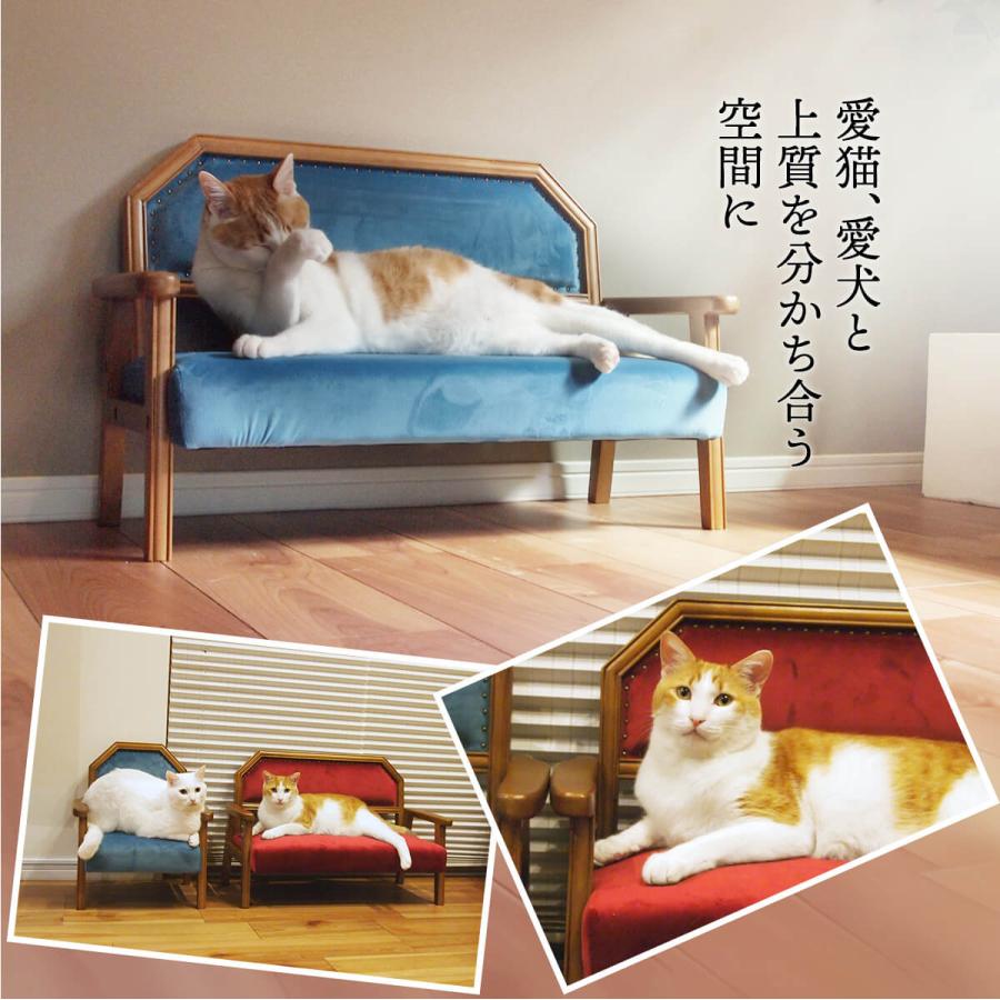 ペット キッズ ソファ おしゃれ 天然木 猫 犬 オールシーズン ベロア レッド ブルー ペット家具 ペットソファ キッズチェア BOJAWS BOPT0127の画像