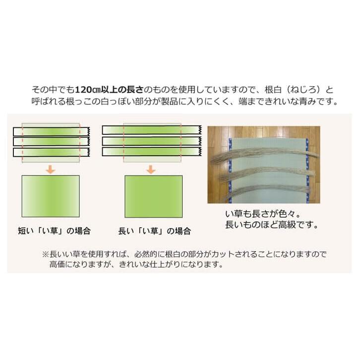 ござ い草 上敷き 本間 4.5畳 畳 カバー 糸引織 正方形 和室 国産 九州産 梅花 286×286cm 1010080015402_5