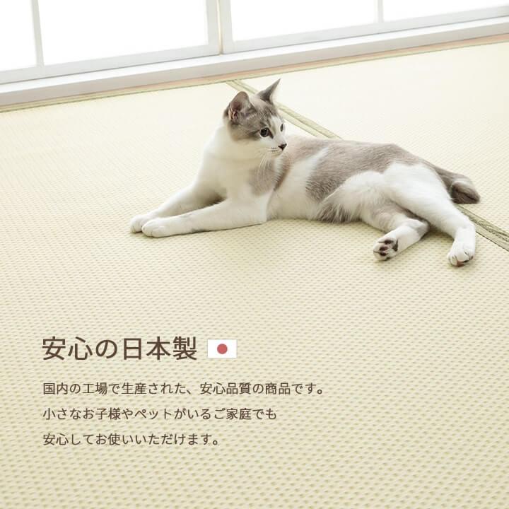ラグ 洗える ござ 日本製 国産 カーペット リバーシブル 丈夫 除菌スプレー対応 敷詰 敷物 ペット ブラウン 江戸間4.5畳 261×261cm 1090740020802_10