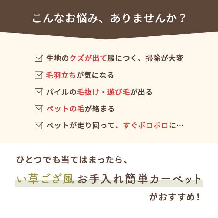 ラグ 洗える ござ 日本製 国産 カーペット リバーシブル 丈夫 除菌スプレー対応 敷詰 敷物 ペット ブラウン 江戸間4.5畳 261×261cm 1090740020802_2