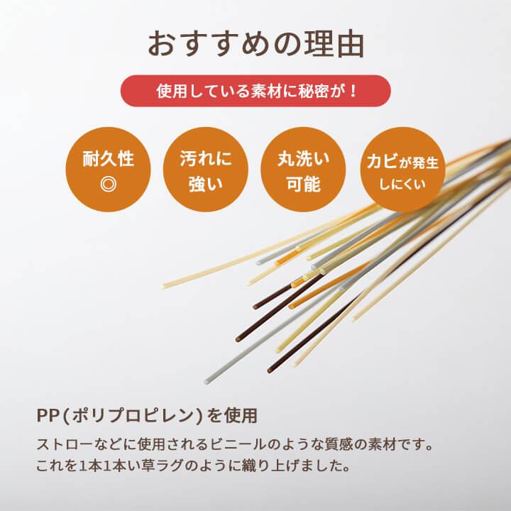 ラグ 洗える ござ 日本製 国産 カーペット リバーシブル 丈夫 除菌スプレー対応 敷詰 敷物 ペット ブラウン 江戸間4.5畳 261×261cm 1090740020802_3