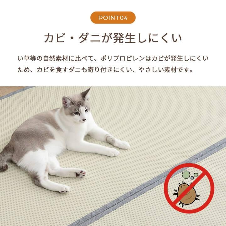 ラグ 洗える ござ 日本製 国産 カーペット リバーシブル 丈夫 除菌スプレー対応 敷詰 敷物 ペット ブラウン 江戸間4.5畳 261×261cm 1090740020802_7