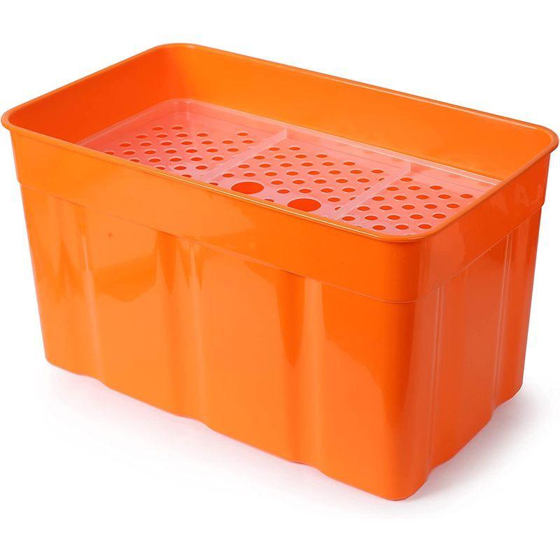 Titan（タイタン）クーラーボックス Deep Freeze 25L 48カン モス タイタン クーラーボックス Deep Freeze 25L 48カン モス