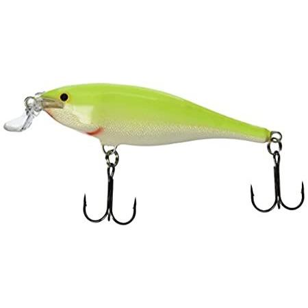 品質保証 特別価格rapala ラパラ シャローシャッドラップ Sfc好評販売中 Ssr 9 エギ 餌木 Hassoncaterers Com