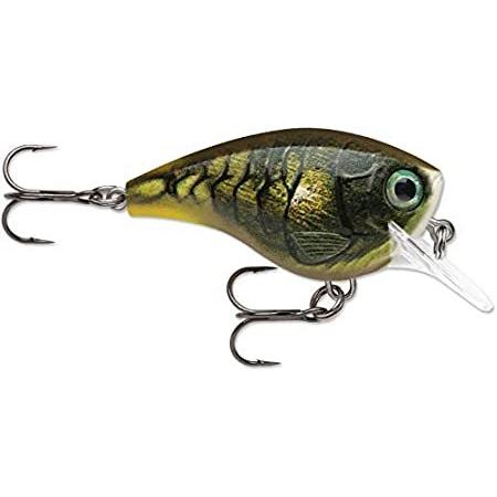 新発売の ビーエックスブラット 特別価格ラパラ Bxb6 フローティング好評販売中 Mossy Brat Bx Rapala エギ 餌木 Www Oroagri Eu