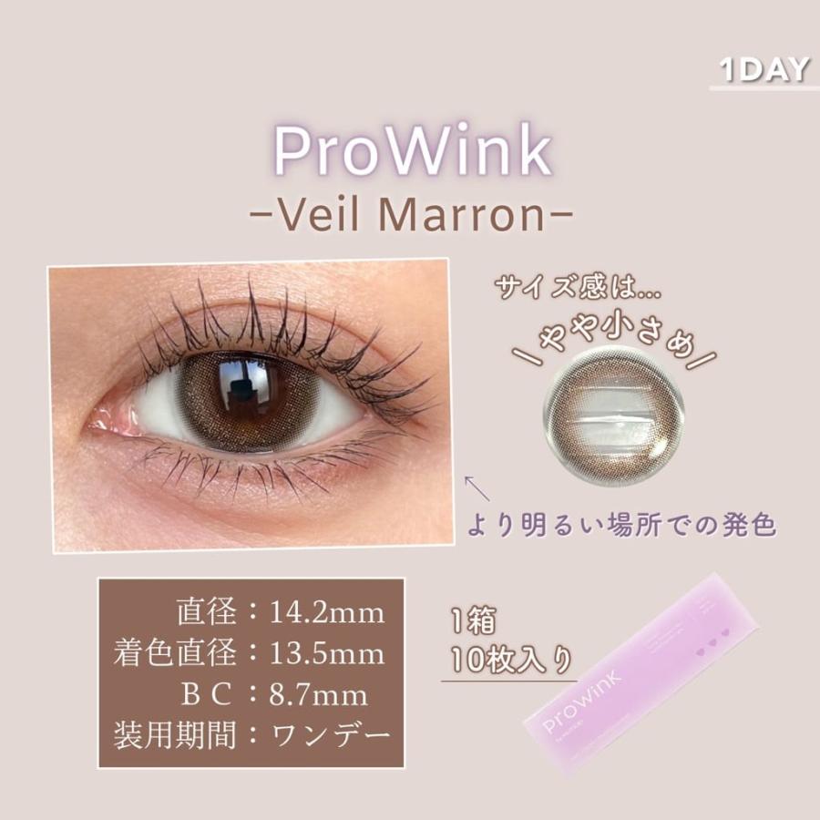 Prowink プロウィンク 2箱 1day 10枚入り 14.2mm カラコン 度あり 裸眼