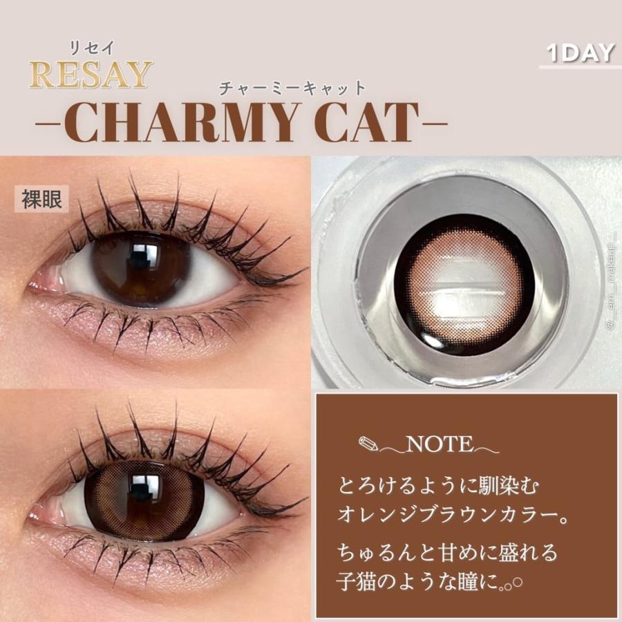 リセイ カラコン ワンデー せいせい RESAY  度あり 太フチ ギャル 高発色 ヘーゼル グレー 1day 10枚入り | ブランド登録なし | 11