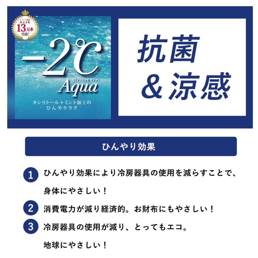 ラグ 夏 夏用 洗える ラグマット カーペット 接触冷感 ひんやり 防ダニ 抗菌 遮音 防音 約130×190cm 約1.5畳相当 床暖房対応 ホットカーペット対応 日本製 国産｜limelime-store｜07