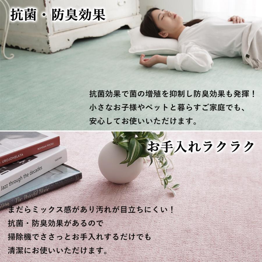 ラグ ラグマット カーペット 江戸間6畳 約261&times;352cm 6畳 長方形 抗菌 防臭 床暖房 ホットカーペット 国産