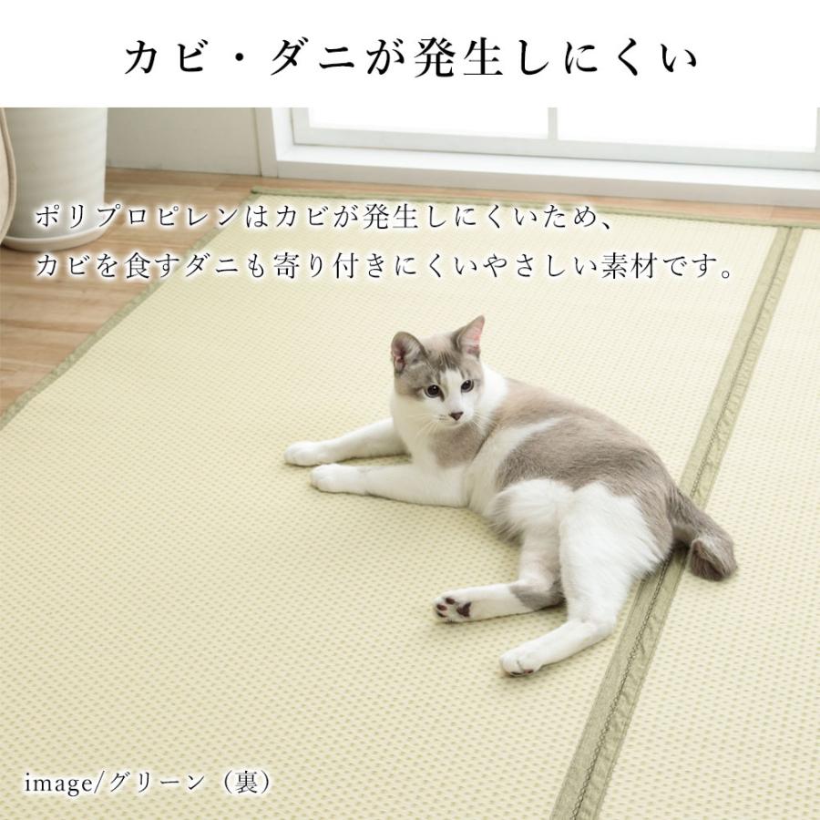 イケヒコ い草 い草ラグ ラグ ラグマット カーペット いぐさ 洗える 