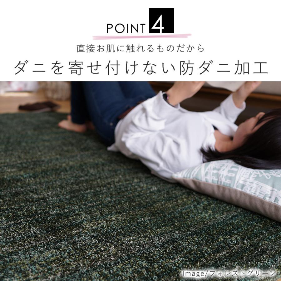 スミノエ/BIG SIZE RUG リュストル ラグ 約140×200cm 楕円形 ラグマット ラグカーペット 防音 遮音 滑り止め 防炎 防ダニ 床暖房 ホットカーペット対応｜limelime-store｜05