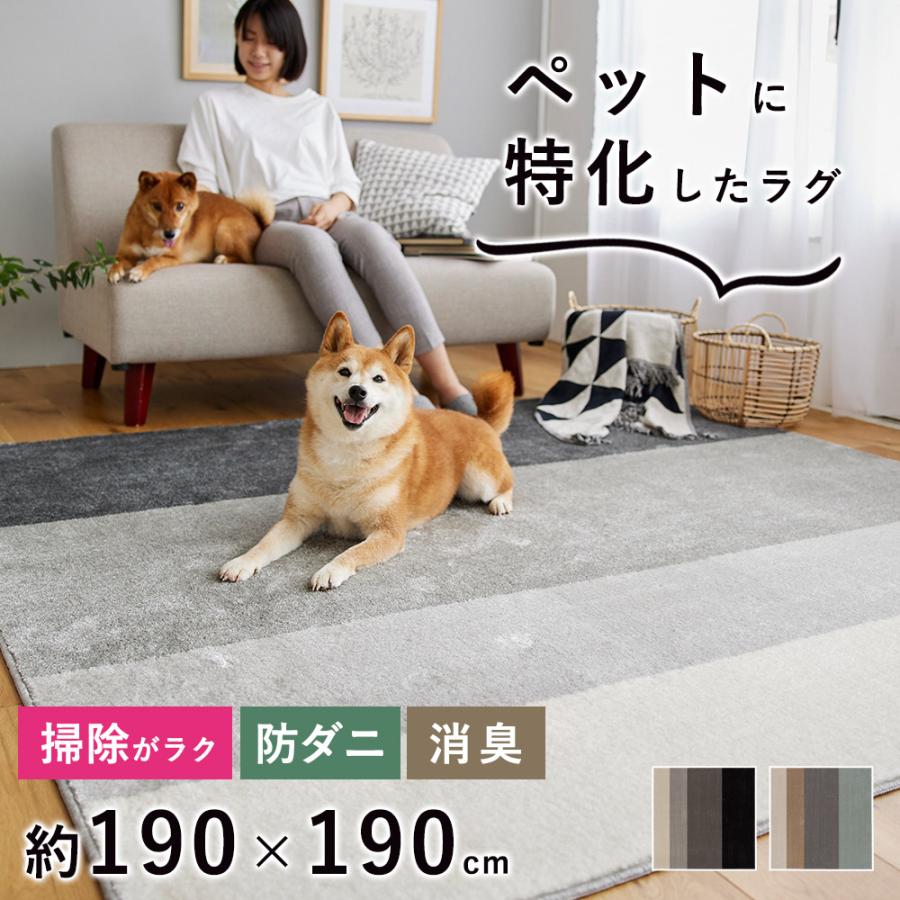 スミノエ ラグ ラグマット カーペット 絨毯 ペット用 抜け毛 スミノエ ラグ ラグマット カーペット 絨毯 ペット用 抜け毛