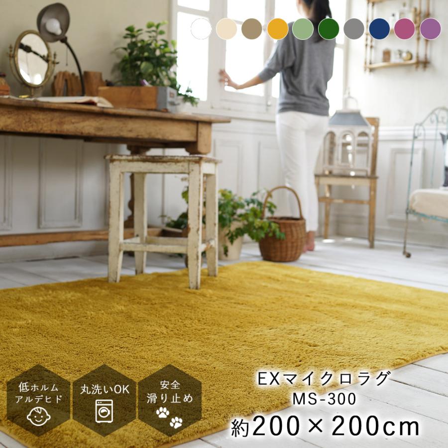 在庫処分特価 ラグ ラグマット Exマイクロファイバーラグ 約0 0cm Mサイズ 約2畳相当 Ms 300 Natural Posture ナチュラルポスチャー Ts Limelime ライムライム インテリア 通販 Yahoo ショッピング