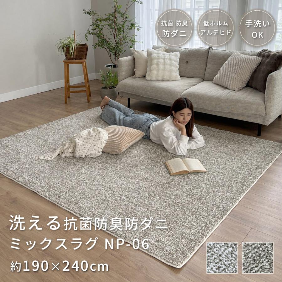 ERARE ラグ 洗える ミックスラグ シャギー 190×240cm 抗菌 防臭