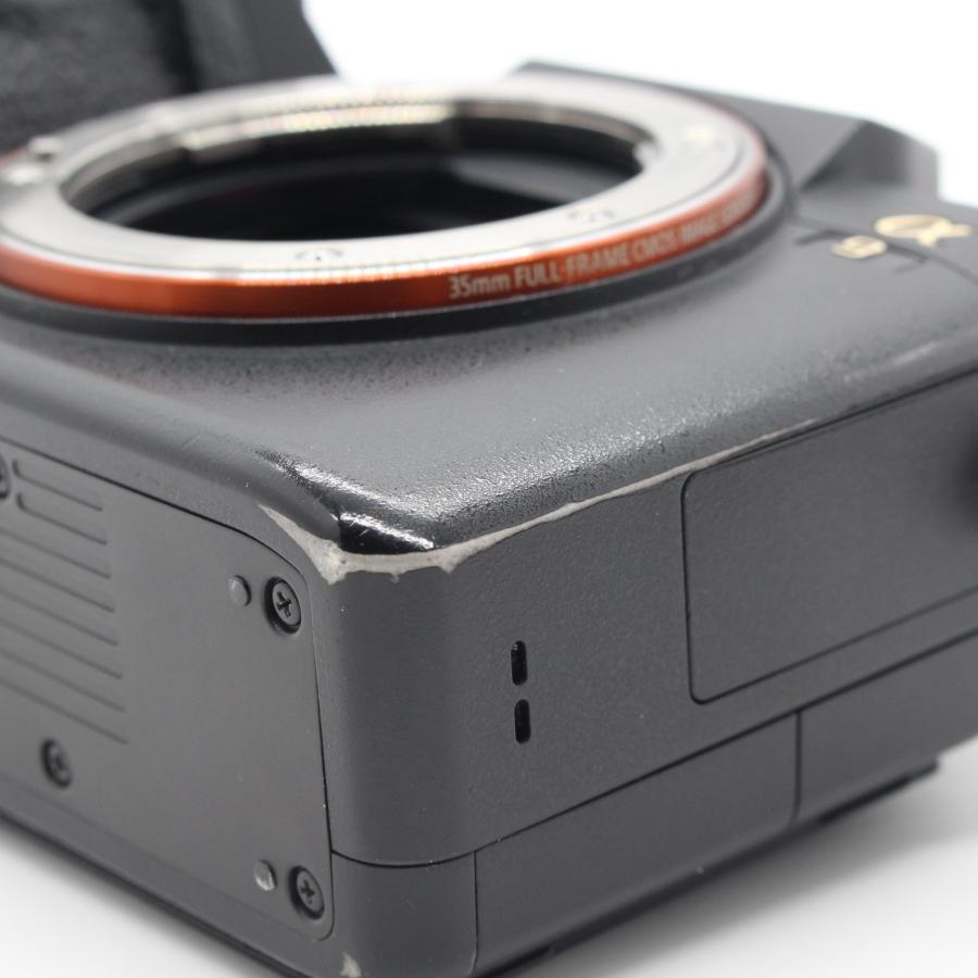 SONY α9 ボディ ILCE-9 ショット数 42201回 SONY α9 （ILCE-9）を徹底