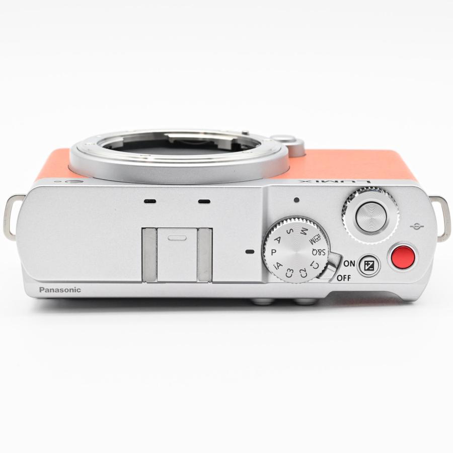 Panasonic LUMIX DC-S9-D ボディ キャメルオレンジ　極上品 パナソニック、フルサイズミラーレス一眼「LUMIX S9」に新色のキャメル